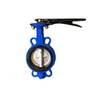 Cast iron butterfly valve
